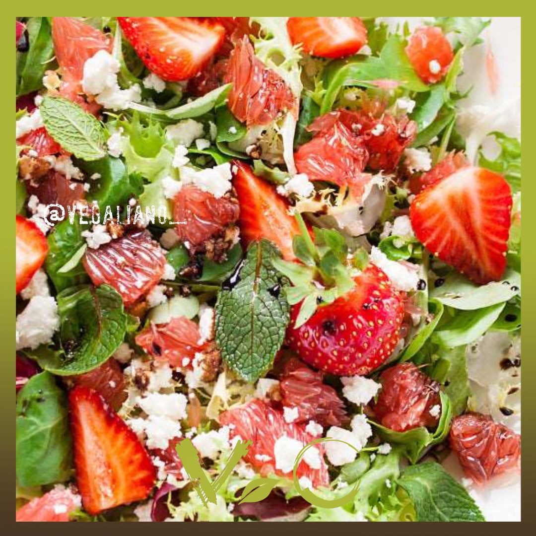 Classic Balsamic Vinegar Vegan Vinegar Vegaliano VEGALIANO