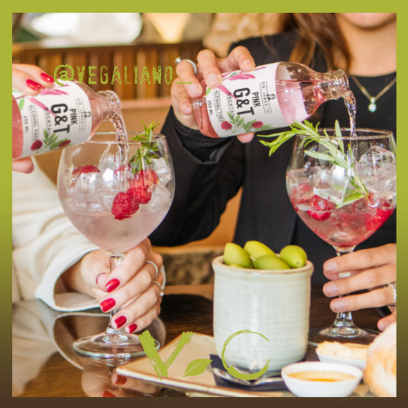 Pink G&T Alcohol Free